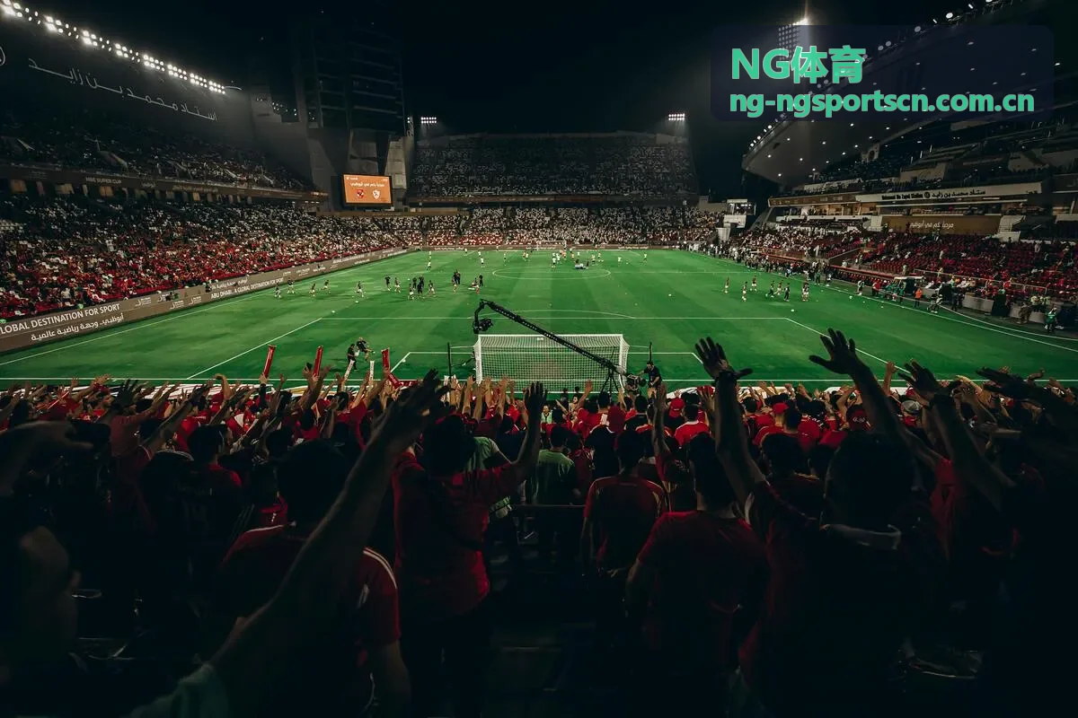 NG体育赛事数据分析界面